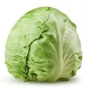 Cabbage