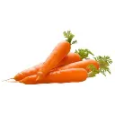 Carrots