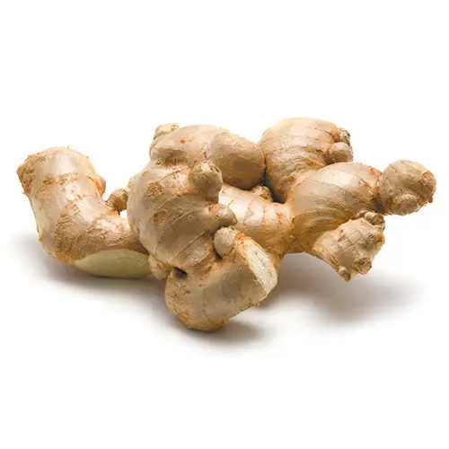 Ginger