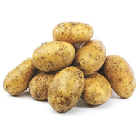 Potato White