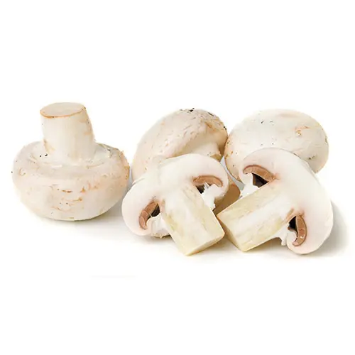 Mushrooms Button